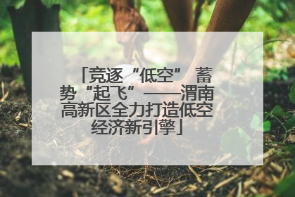 竞逐“低空” 蓄势“起飞”——渭南高新区全力打造低空经济新引擎